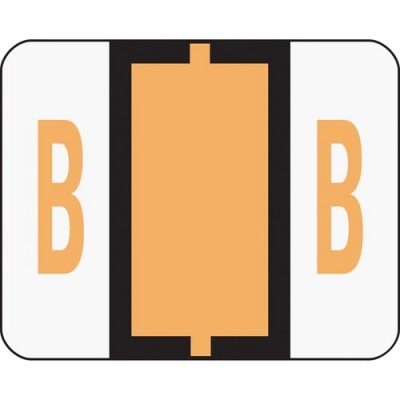Smead BCCR Bar-Style Color-Coded Labels (67072)
