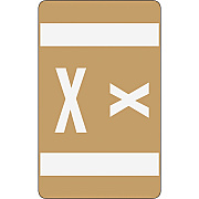 Smead AlphaZ ACCS Color-Coded Labels (SMD67194)