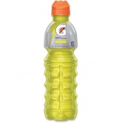 Gatorade Thirst Quencher Bottles (24120)