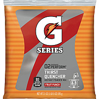 Gatorade Fruit Punch Thirst Quencher (QKR33691)