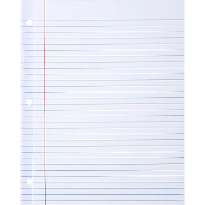 Sparco Ruled Filler Paper (SPRWB213R)