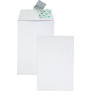 Quality Park 6 x 9 Catalog Envelopes with Self-Seal Closure (QUA44182)
