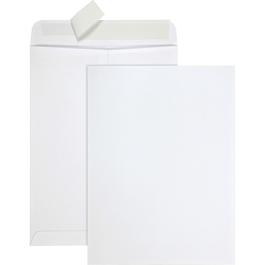 Quality Park 9 x 12 Tech-no-Tear Paper Out Catalog Envelopes with Self-Sealing Closure (QUA77390)