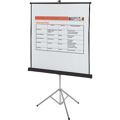 Quartet Manual Projection Screen (QRT570S)