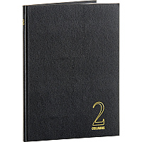 Wilson Jones 74100 2-Column Account Book (WLJ74102)