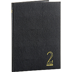 Wilson Jones 74100 2-Column Account Book (WLJ74102)