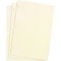 Wilson Jones Plain Ledger Paper (WLJ90110)