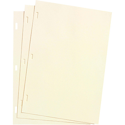 Wilson Jones Plain Ledger Paper (WLJ90110)