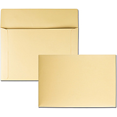 Quality Park K739 Index Flat File - Ungummed Flaps (QUA89606)