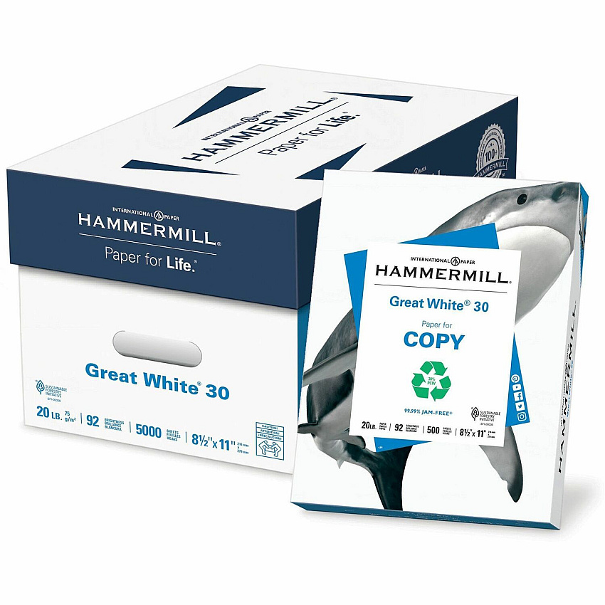 Hammermill Great White Recycled Copy Paper - White (HAM86700)