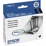 Epson DURABrite Original Ink Cartridge (EPST060120S)