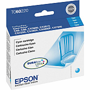 Epson DURABrite Original Ink Cartridge (EPST060220S)