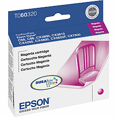 Epson DURABrite Original Ink Cartridge (EPST060320S)