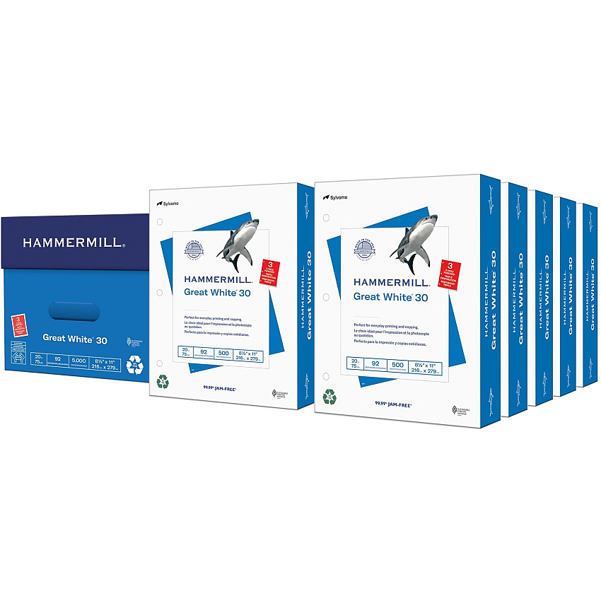 Hammermill Great White 3HP Recycled Copy Paper - White (HAM86702)