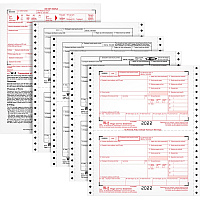 TOPS Carbonless Standard W-2 Tax Forms (TOP2204)