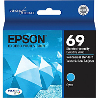 Epson DURABrite Original Ink Cartridge (EPST069220S)
