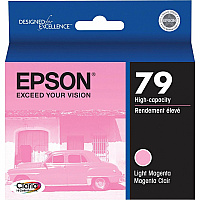 Epson 79 Original Ink Cartridge (EPST079620)