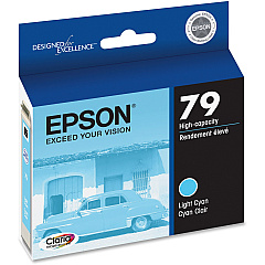 Epson 79 Original Ink Cartridge (EPST079520)