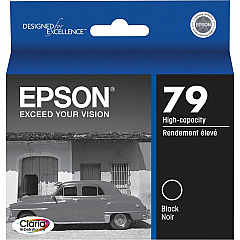 Epson 79 Original Ink Cartridge (EPST079120)