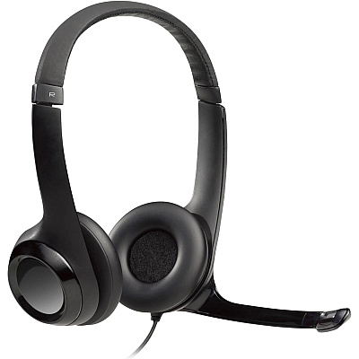 Logitech Padded H390 USB Headset (LOG981000014)