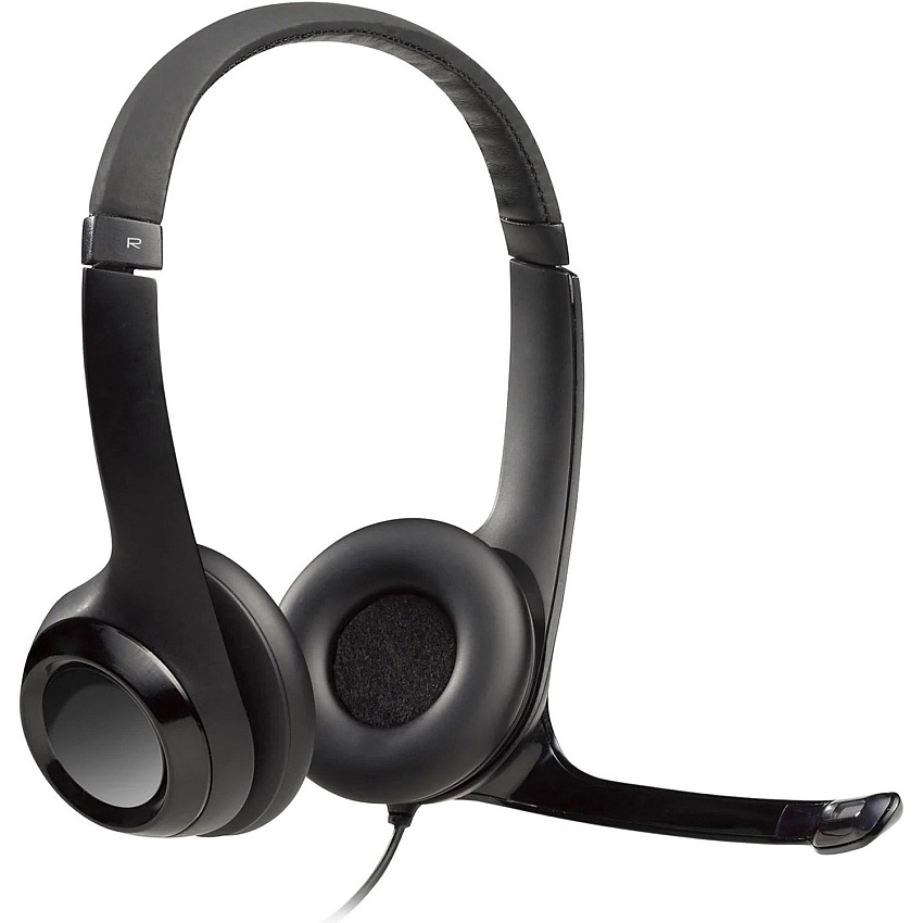 Logitech Padded H390 USB Headset (LOG981000014)