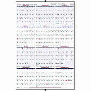 Rediform Heavyweight Yearly Wall Calendar (REDC172212)