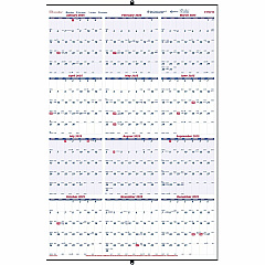 Rediform Heavyweight Yearly Wall Calendar (REDC172212)