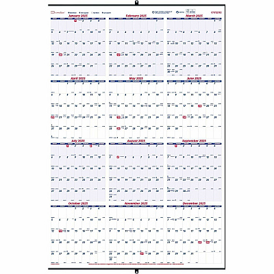 Rediform Heavyweight Yearly Wall Calendar (REDC172212)