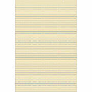 Pacon Recyclable Ruled Tagboard Sheet (PAC5163)