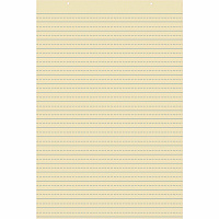 Pacon Recyclable Ruled Tagboard Sheet (PAC5163)