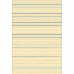 Pacon Recyclable Ruled Tagboard Sheet (PAC5163)