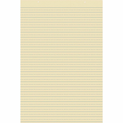 Pacon Recyclable Ruled Tagboard Sheet (PAC5163)