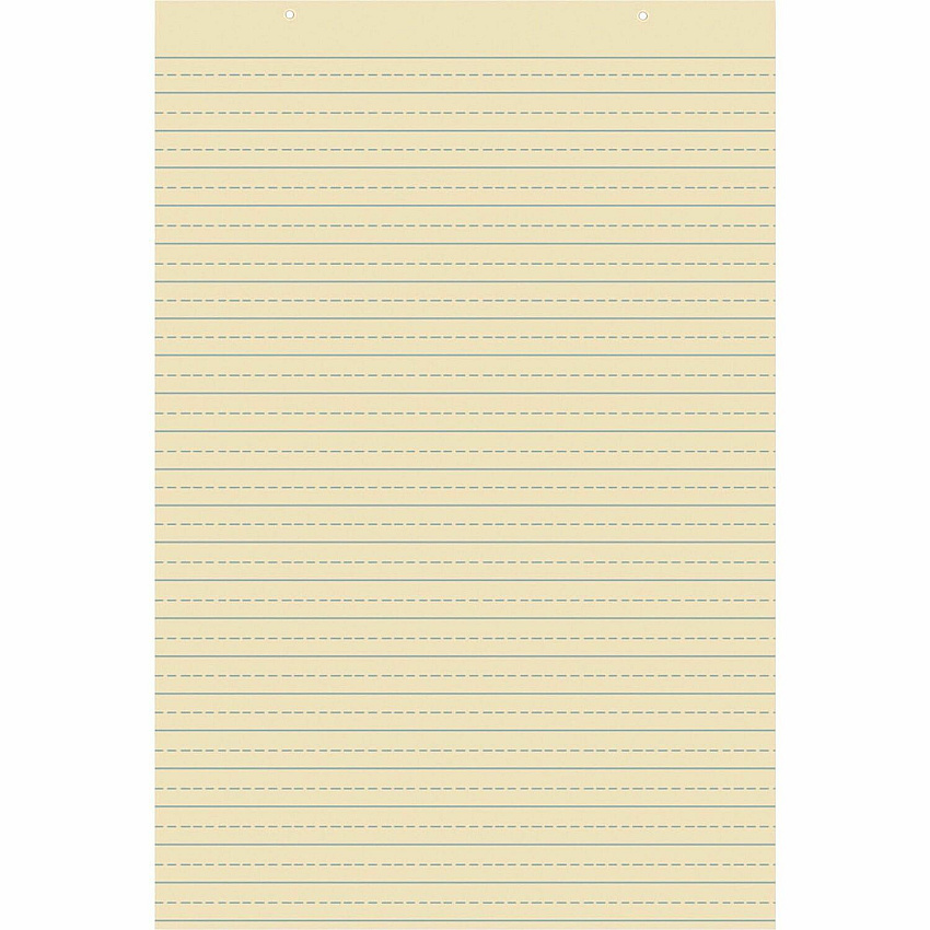 Pacon Recyclable Ruled Tagboard Sheet (PAC5163)