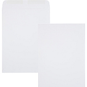 Quality Park 9 x 12 Catalog Envelopes with Gummed Flap (QUA41487)