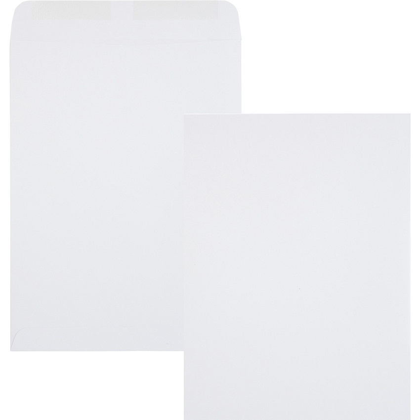 Quality Park 9 x 12 Catalog Envelopes with Gummed Flap (QUA41487)