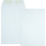 Quality Park 6 x 9 Catalog Mailing Envelopes (QUA40788)