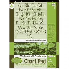 Decorol Recycled Chart Pad (945710)