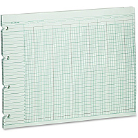 Wilson Jones 20-Column Ruled Sheets (WLJG1020)