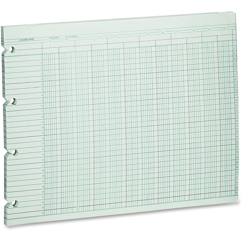 Wilson Jones 20-Column Ruled Sheets (WLJG1020)