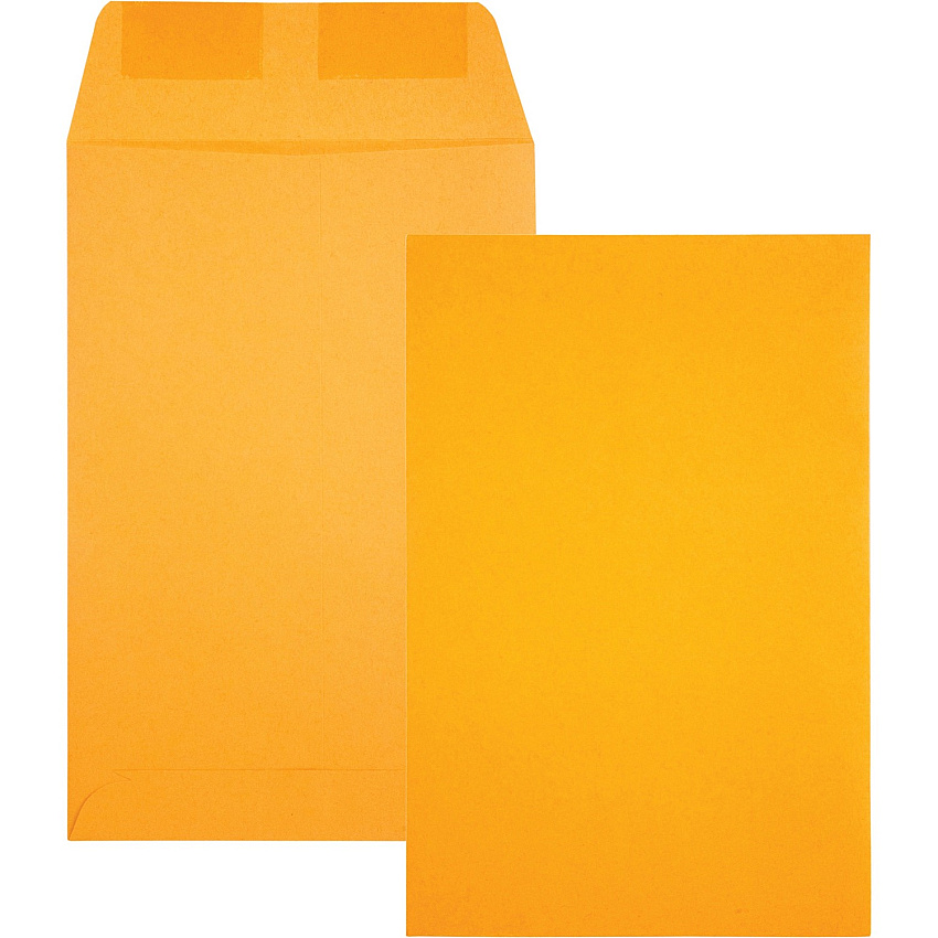Quality Park 6 x 9 Catalog Envelopes (QUA40765)