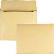 Quality Park Filing Envelopes (QUA89604)