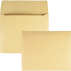 Quality Park Filing Envelopes (QUA89604)
