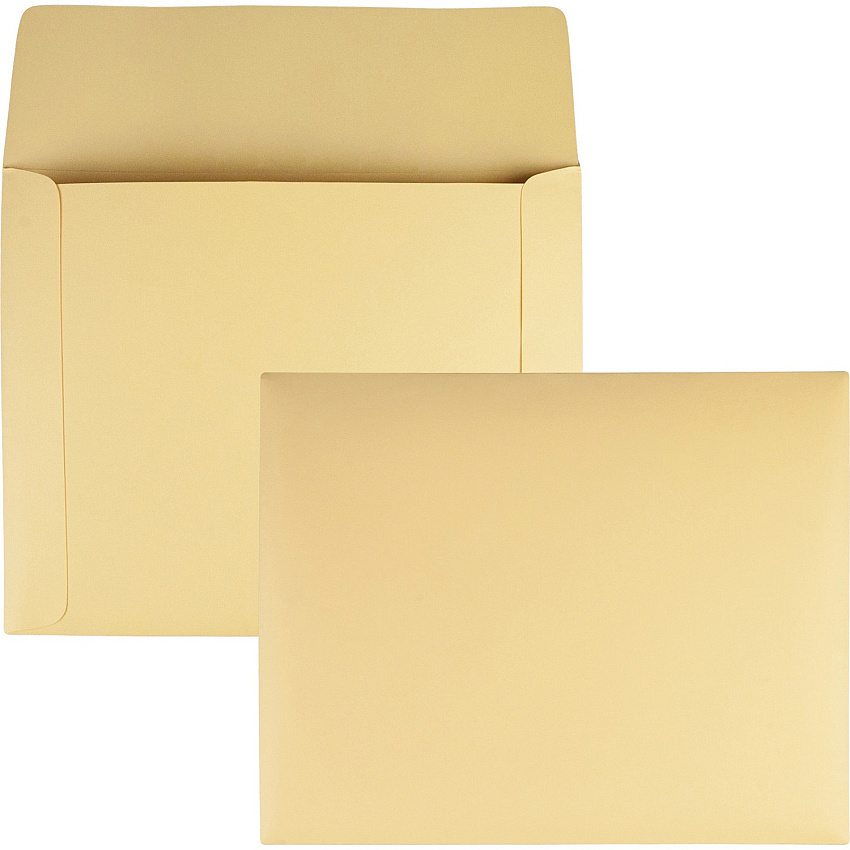 Quality Park Filing Envelopes (QUA89604)