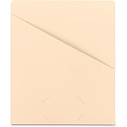 Smead Letter Recycled File Jacket (SMD75430)