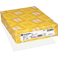 Astrobrights Color Copy Paper - Stardust White (WAU22301)