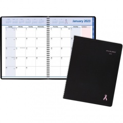AT-A-GLANCE Quicknotes Special Edition Monthly Planner (76PN0605)