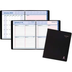AT-A-GLANCE QuickNotes Special Edition Weekly/Monthly Appointment Book (76PN0105)