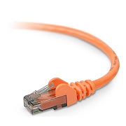 Belkin Cbl,cat6,utp,rj45m/m,75 ,org,sngl (A3L98075ORGS)