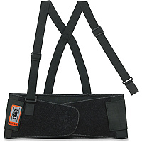 ergodyne ProFlex Economy Elastic Back Support (EGO11094)