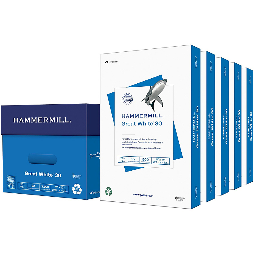 Hammermill Great White Recycled Copy Paper - White (HAM86750)
